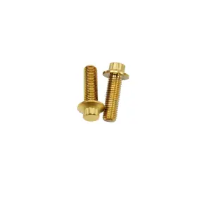 702026 Powerjames 100% Titanium Gold Mid Control Shift Lever Screws For Harley Dyna Fxbbs Fxlrs 702026 Powerjames 100% Titanium Gold Mid Control Shift Lever Screws For Harley Dyna Fxbbs Fxlrs