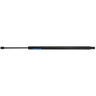 Liftgate Support Strong Arm 6238 Fits 05-10 Honda Odyssey New. Price: $57.02.