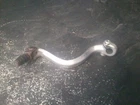 86-01 Suzuki Shifter Lever # 25600-02B43 Rm 80 Used. Price: $19.95.