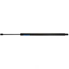 Liftgate Support Strong Arm B6238 Fits 05-10 Honda Odyssey New. Price: $34.70.