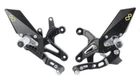 Fits Kawasaki Lightech ZX6R-636 Footrest System Rigid 2005-2020 Reverse Neu. Price: $657.82.