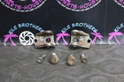 2004 Honda 02-12 CRF450R Oem Left Right Foot Peg Mounts Used. Price: $31.45.