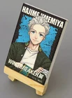 Board/canvas Art Hajime Umemiya Mini Wind Breaker Used. Price: $54.19.