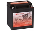 Bmw 900CC R90/6,R90S,1969-1976 Battery (replacement) (385CCA) New. Price: $77.99.