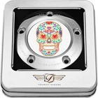 Figurati Designs Timing Cover Silver With Sugar Skull-fire, 5-HOLE FD30-TC-5H-SS New. Price: $120.07.