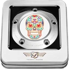 Figurati FD30-TC-5H-SS Timing Cover, Stainless Steel With Sugar Skull Hole New. Price: $124.99.
