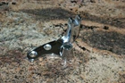 Nos Genuine Harley Davidson Dyna Left Footpeg / Shifter Mount Chrome 33695-03 New. Price: $109.95.