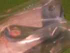 Yamaha YZ80 1993-01 Front Cable Guide Oem # 4ES-2331E-00 New. Price: $17.50.